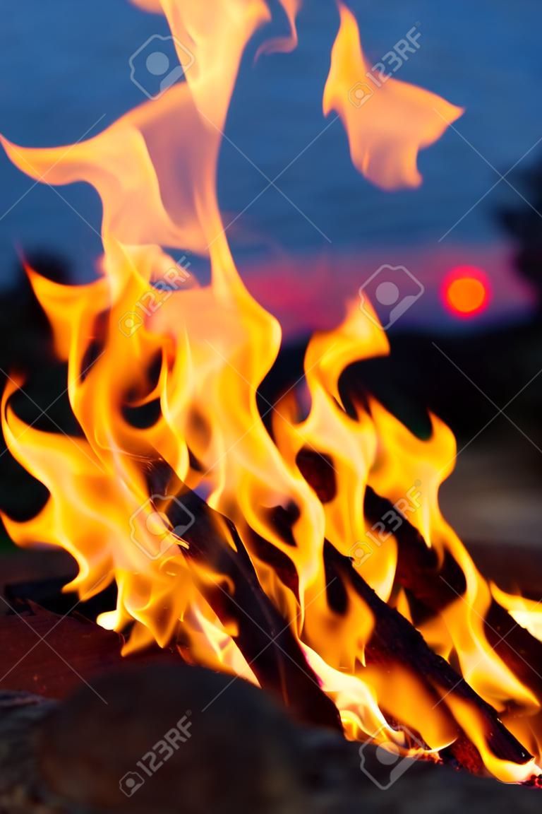 Gros plan du feu brûlant flamme au-dessus des cendres à l'intérieur du foyer