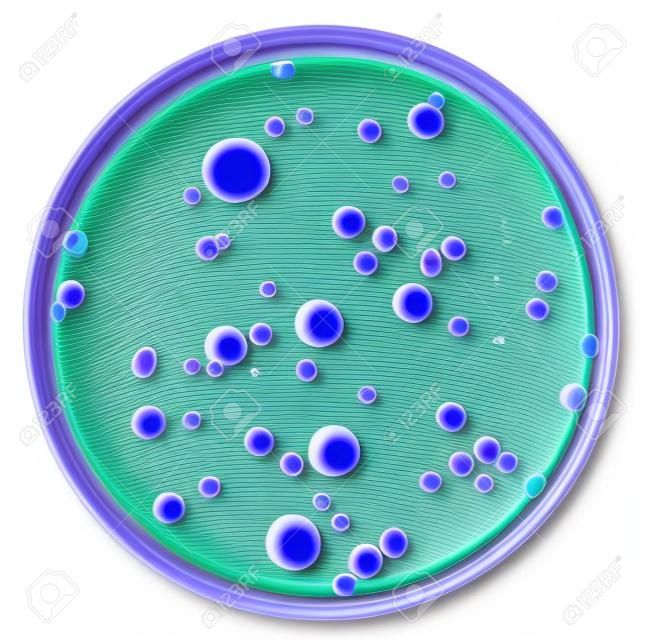 Different color, size and type colonies of bacteria from public premises air on a petri dish agar plate isolated on white background by pen tool. Nutrient agar media used. Focus on full depth.