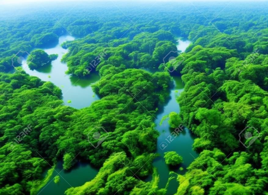 Vista del río Amazonas a vuelo de pájaro
