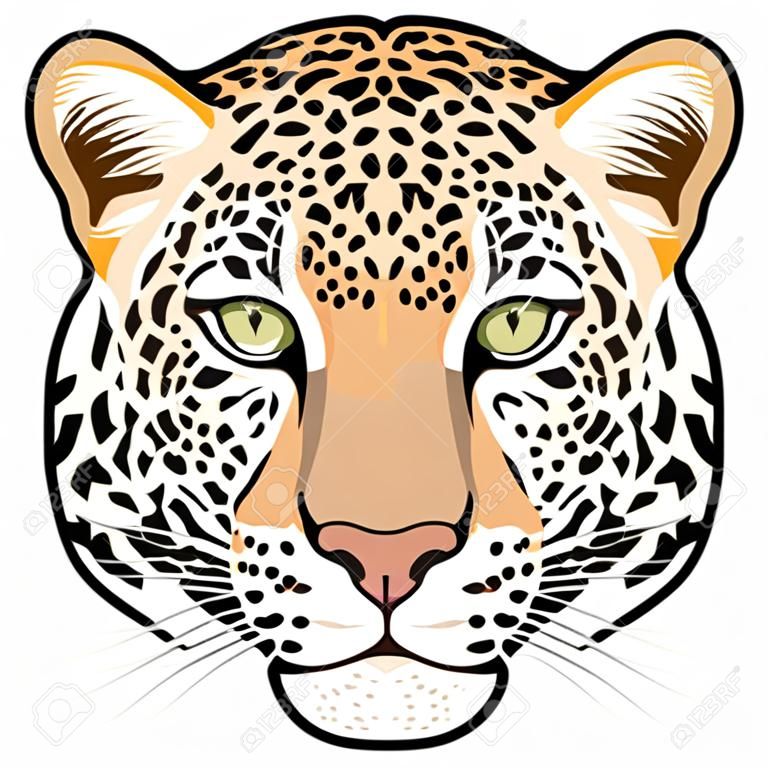 Testa di leopardo in vettoriale, Panthera pardus, grande gatto, animale selvatico