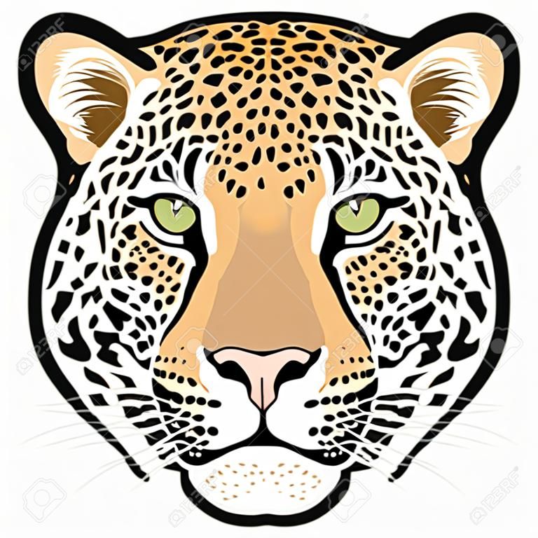 Testa di leopardo in vettoriale, Panthera pardus, grande gatto, animale selvatico