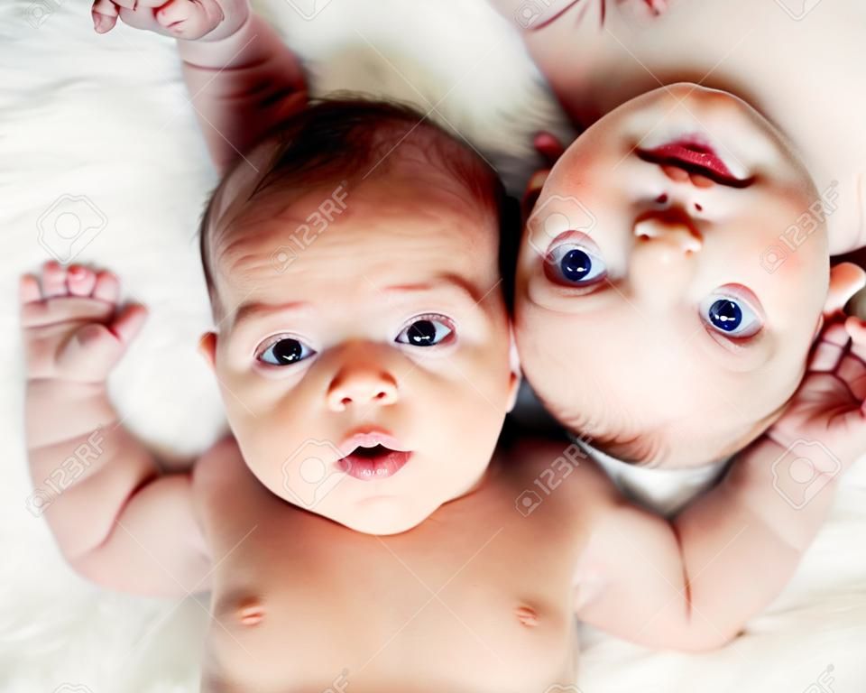 Newborn twins boy and girl
