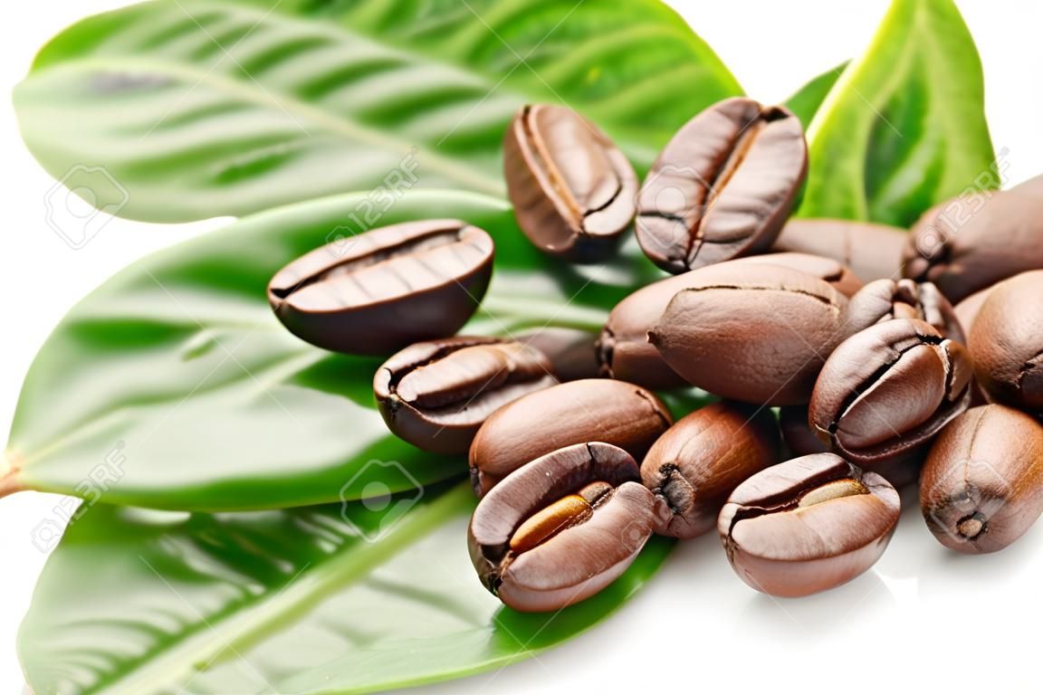 los granos de café y las hojas