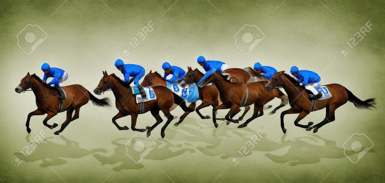 Jockeys racing with horses