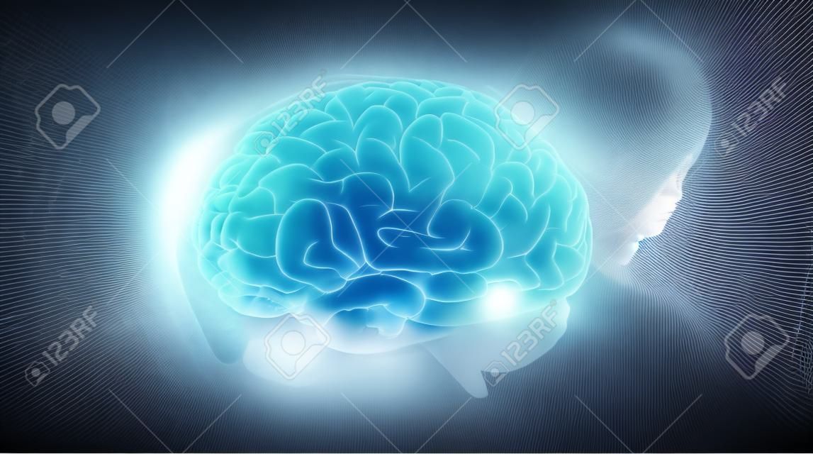 Businesswoman on blurred background using digital 3D projection of a human brain 3D rendering