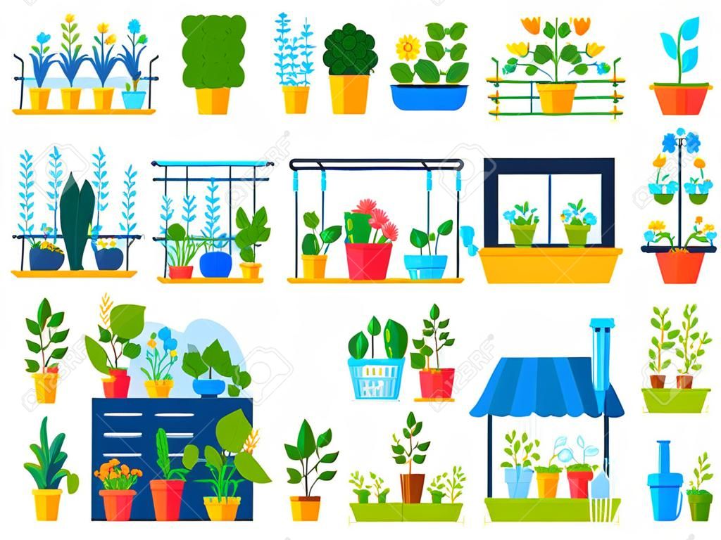 Fleurs plantes poussent dans la maison balcon jardin vector illustration set, dessin animé plat urbain maison jardinage collection de verdure