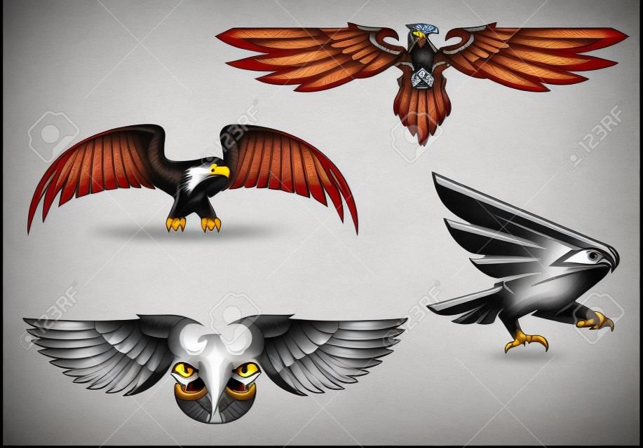 Set of heraldry eagles, hawks and falcons for tattoo or mascot design