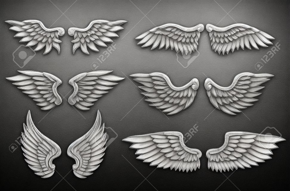 Set von Adler oder Engelsflügel für Heraldik und Tattoo-Design