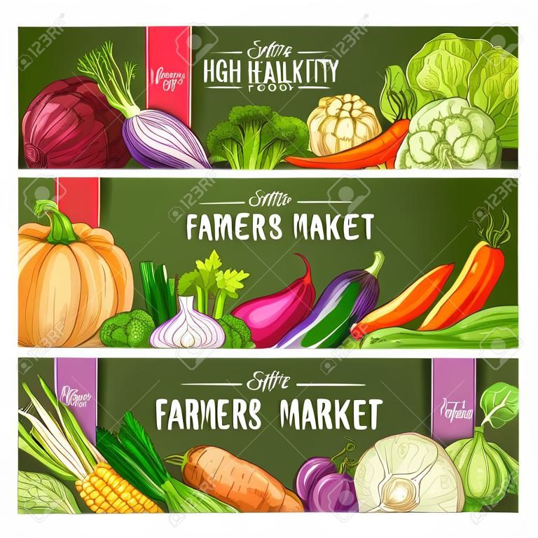 Vegetables healthy food banners. Farmers market sketch vegetables harvest. Vegetarian sketched veggies cabbage, onion, radish and tomato, peas and broccoli, leek and carrot, cauliflower and pumpkin, pepper, cucumber and garlic, eggplant, beet, corn, aspar