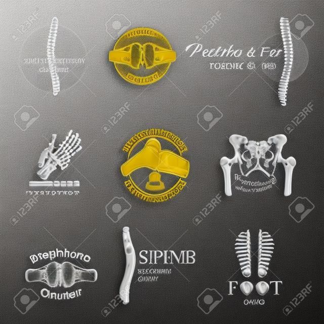 Orthopedie en traumatologie embleem set. Menselijk skelet botten en gewrichten van been, hand, wervelkolom, voet, bekken en knie symbolen voor medische kliniek, kenmerkend centrum badge en label ontwerp