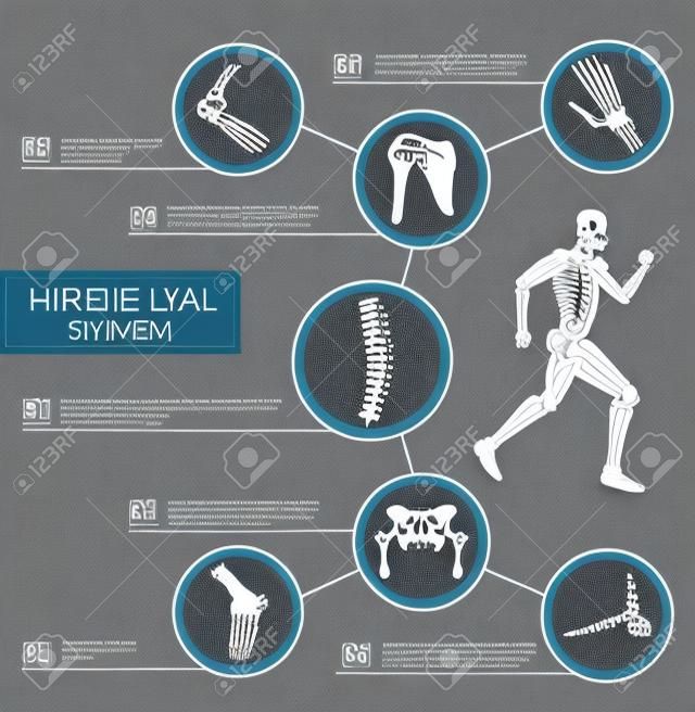 Infographic medyczne ludzkiego systemu szkieletowego. Anatomia z nogą, ręką, stopą, kolanem, kręgosłupem, miednicą, ramieniem, kości łokciowych i stawami ludzkiego szkieletu z układem tekstu. Medycyna, projekt edukacji