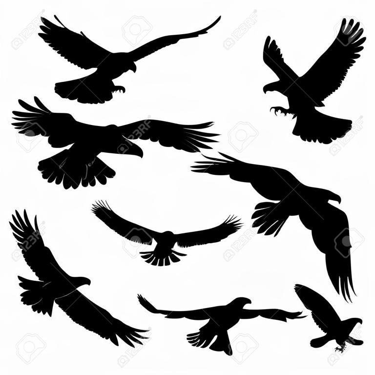 Águia voadora, falcão e falcão silhueta preta ícones de pássaros. Predador de pássaro vetorial em poses voadoras para símbolos heráldicos ou design de tatuagem. Animal selvagem como sinal de poder e liberdade