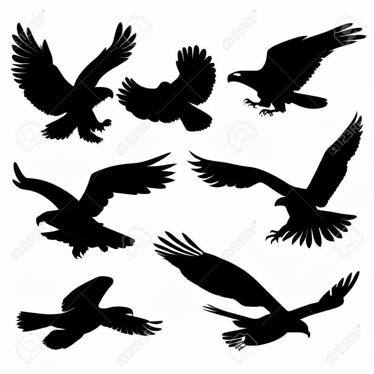Vliegende adelaar, valk en havik zwarte silhouet vogel pictogrammen. Vector vogel roofdier in vliegen poses voor heraldische symbolen of tatoeage ontwerp. Wild dier als teken van macht en vrijheid