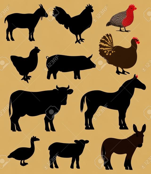 Animais de criação de gado e pássaros, ícones de silhueta preta vetorial. Vaca de fazenda de gado, ovelhas isoladas e codorniz pássaro, cabra e peru, galo de galinha e ganso ou pato, bezerro e burro, porco e cavalo