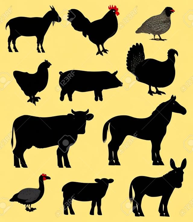 Animais de criação de gado e pássaros, ícones de silhueta preta vetorial. Vaca de fazenda de gado, ovelhas isoladas e codorniz pássaro, cabra e peru, galo de galinha e ganso ou pato, bezerro e burro, porco e cavalo