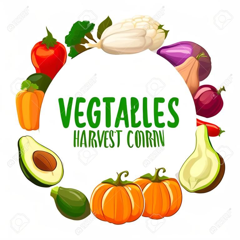 Vegetables banner, farm market food veggies frame, vector harvest. Natural healthy garlic, pepper and tomato, zucchini squash and broccoli, vegetarian avocado and corn with pumpkin, farmer harvest