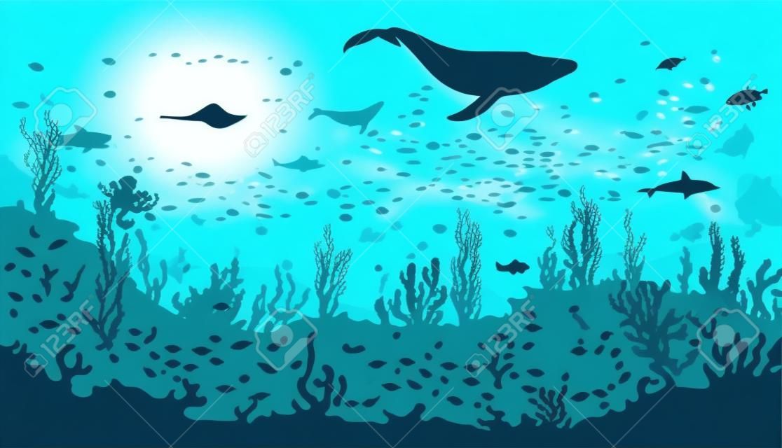 Ocean podwodny krajobraz, wodorosty i rafa, ławica ryb, sylwetka wieloryba. krajobraz dna morskiego, dno morskie pejzaż morski tło wektor z florą i fauną oceanu, koralowce, sylwetki zwierząt morskich
