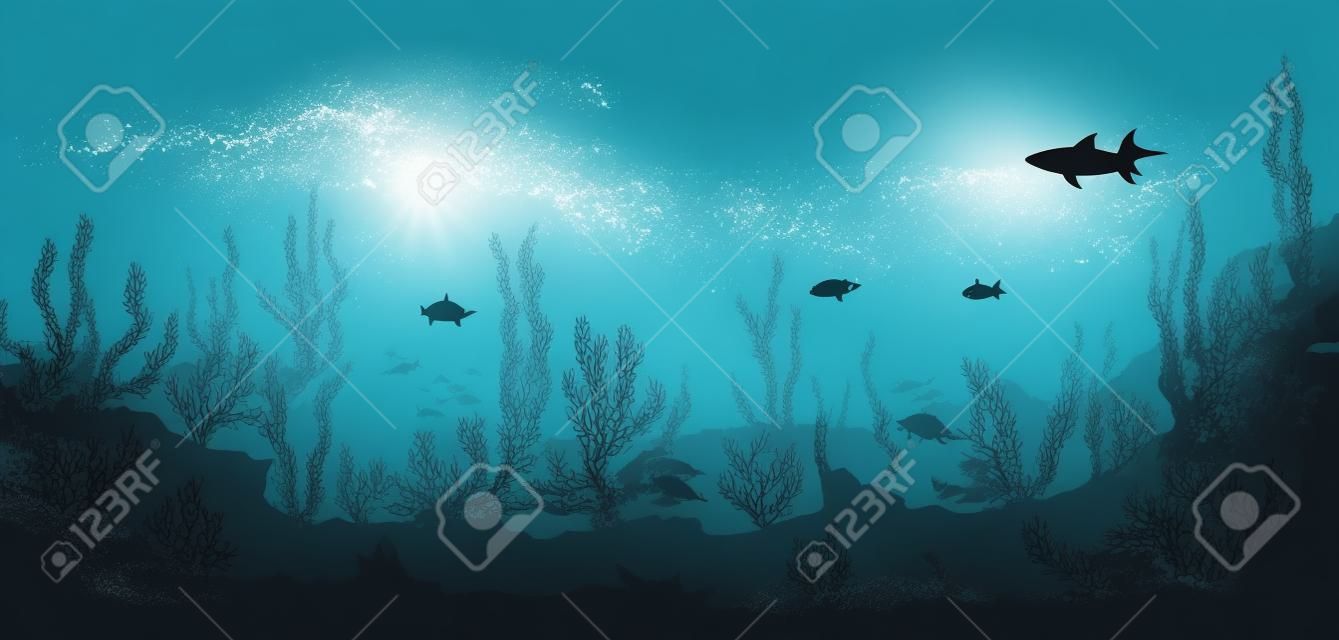 해초 벡터 배경 해저 또는 바다 산호초 실루엣 풍경에 물고기 떼와 상어가 있는 만화 수중 바다 풍경 실루엣 바다 밑 깊은 물에 돌고래가 있는 바다 산호초 실루엣 풍경