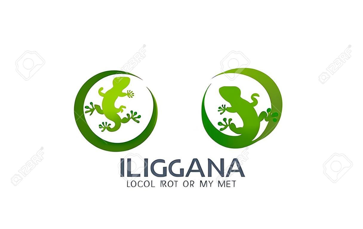 Kertenkele Logo tasarımı vektör şablonu. Iguana illüstrasyon. Semender logo. Gecko kavramı üstten görünüm.