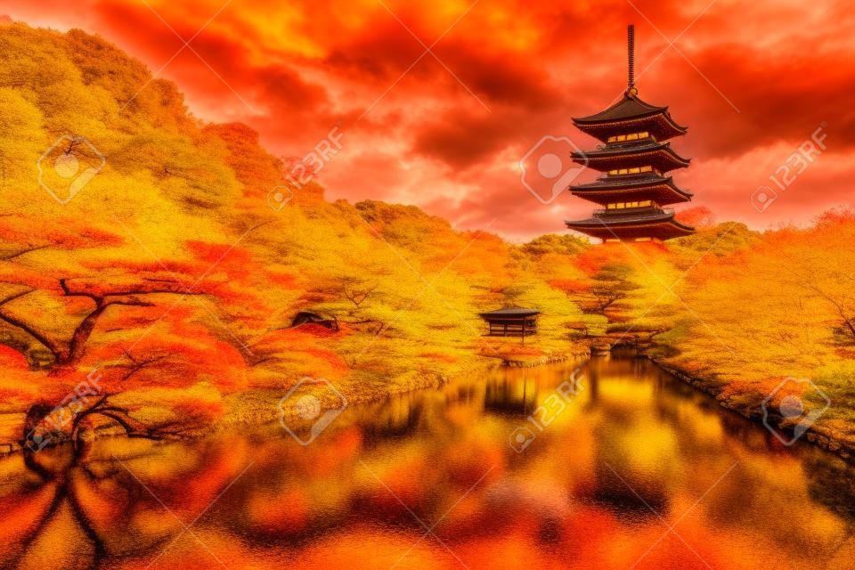 到寺寶塔在日本京都在秋天的季節。