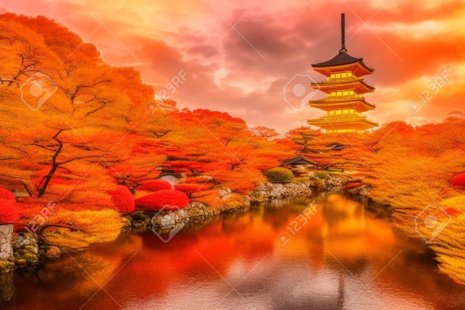 到寺寶塔在日本京都在秋天的季節。
