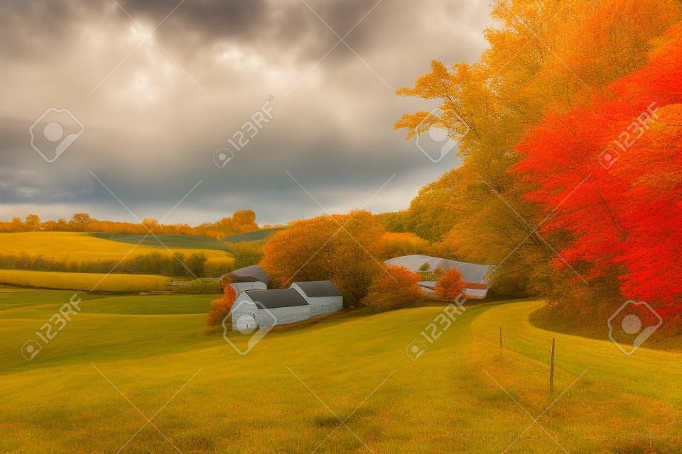 Granja rural de Jenne del otoño en Vermont, los E.E.U.U.