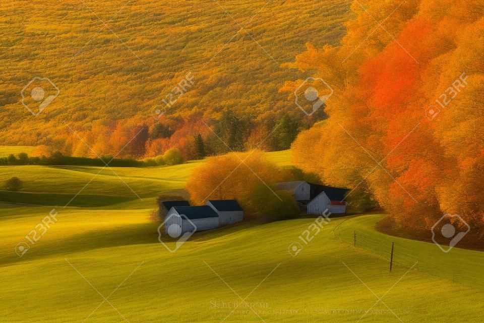 Granja rural de Jenne del otoño en Vermont, los E.E.U.U.