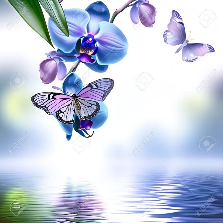 Tropikal orkide ve kelebek Floral background