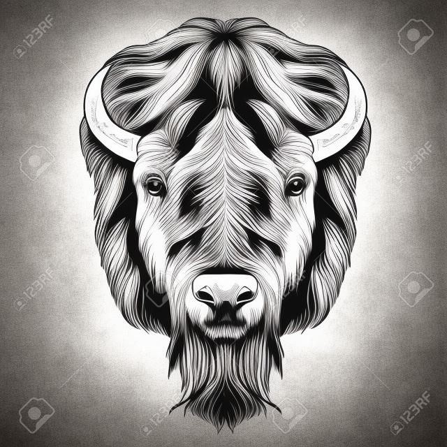 the Buffalo head is symmetrical, looks right, sketch vector graphic of a black and white image
