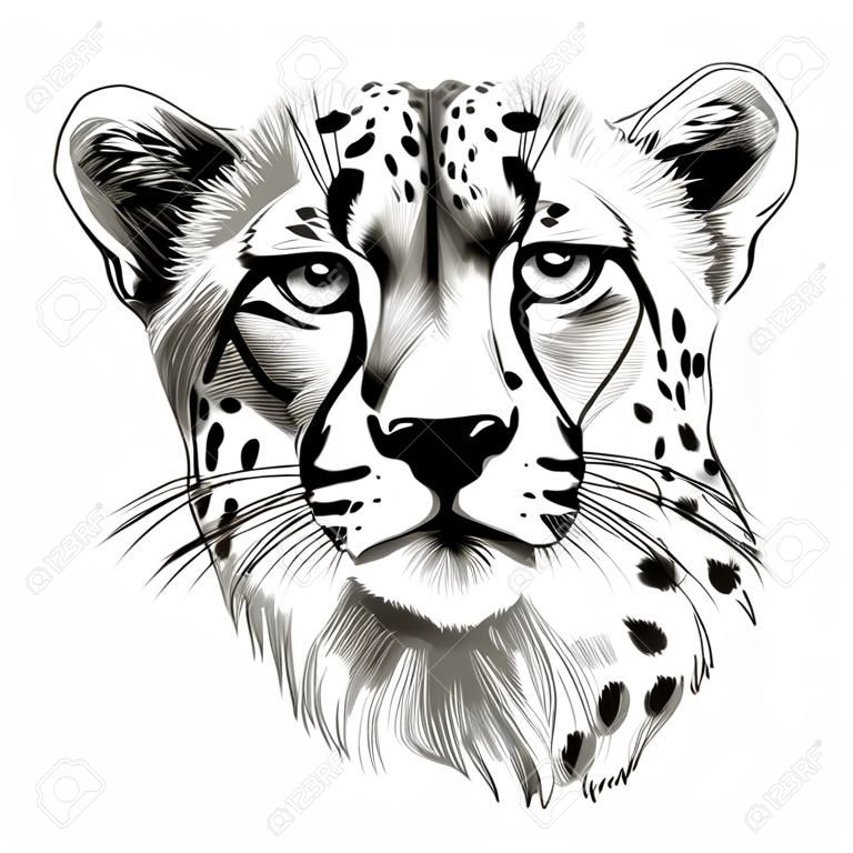 獵豹頭素描圖形設計。