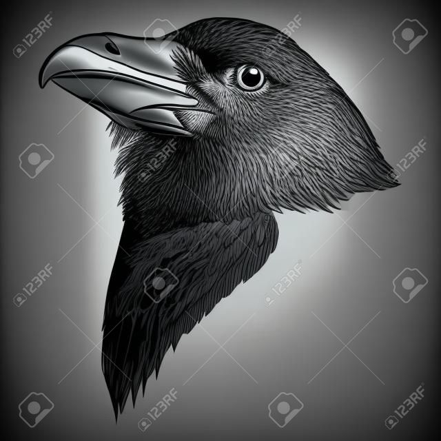 голова ворона эскиз векторная графика монохромный черно-белый рисунок