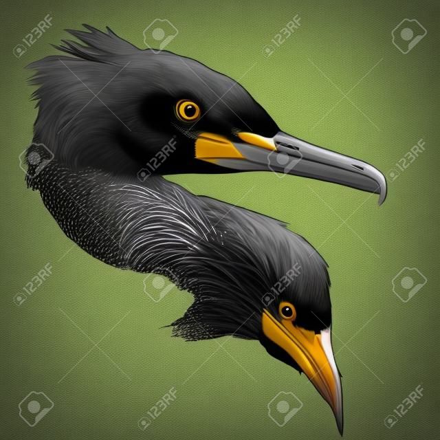Bird cormorant head sketch vector graphics monochrome drawing