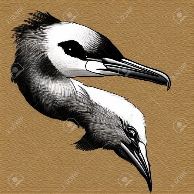 Bird cormorant head sketch vector graphics monochrome drawing