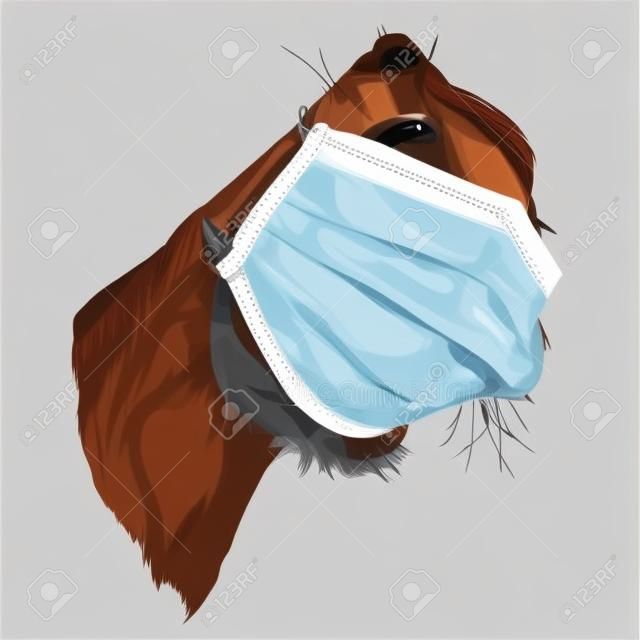 horse muzzle nose and mouth close-up looking at the camera strong perspective in a medical mask against a virus, sketch vector graphics color illustration on a white background