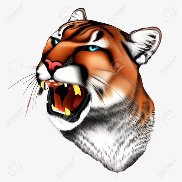 Cougar face with open mouth winks one eye with a malicious smile, sketch drawing in graphic style on white background