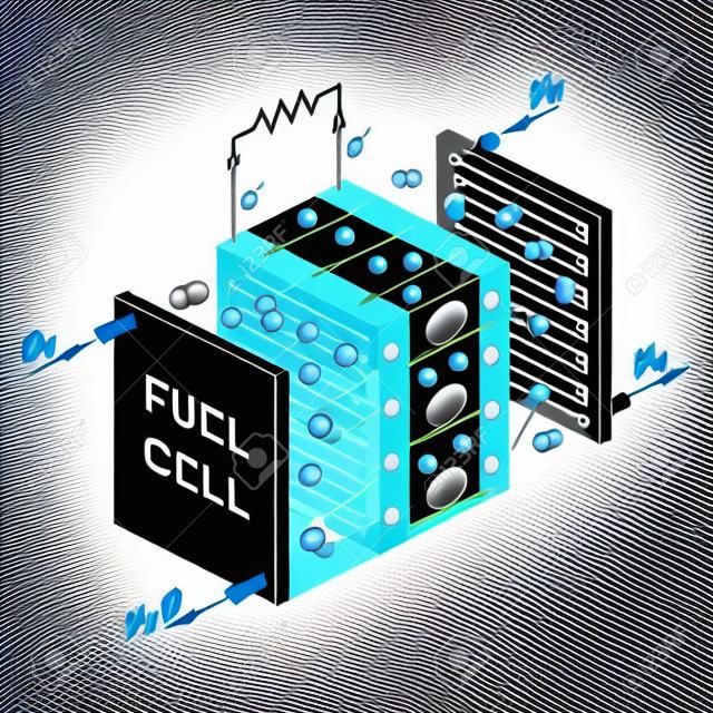 Fuel cell diagram. Vector. Device that converts chemical potential energy into electrical energy. A PEM, Proton Exchange Membrane cell uses hydrogen gas and oxygen gas as fuel.