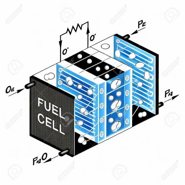 Fuel cell diagram. Vector. Device that converts chemical potential energy into electrical energy. A PEM, Proton Exchange Membrane cell uses hydrogen gas and oxygen gas as fuel.
