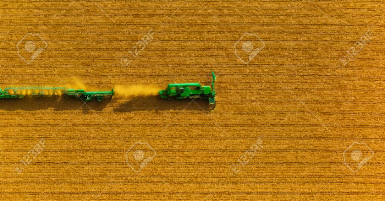 machine Harvester travaillant dans le domaine. Combinez champ de blé de l'agriculture de récolte machine de récolte d'or mûr. Agriculture. Vue aérienne. D'en haut.