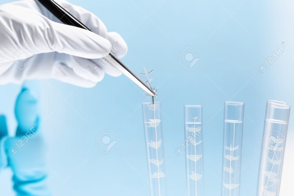 Laboratory worker holding test tube with tweezers, closeup