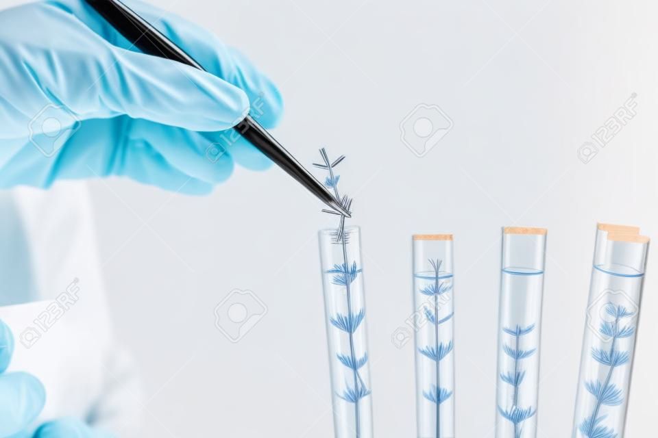 Laboratory worker holding test tube with tweezers, closeup