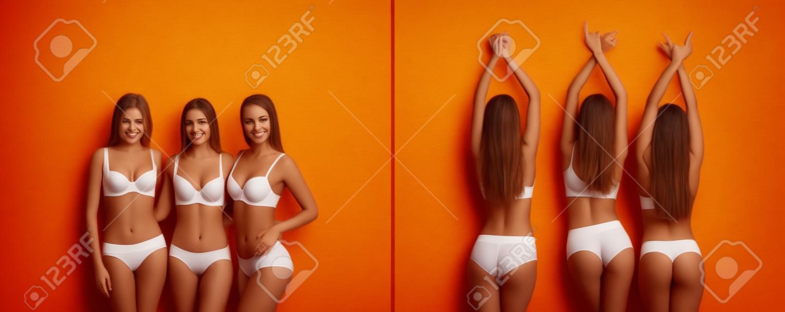 Belle giovani donne in biancheria intima su sfondo colorato. Vista anteriore e posteriore