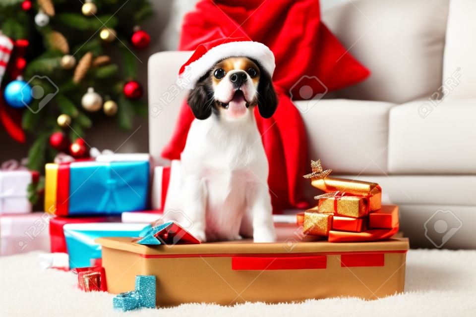 Schattige hond met geschenken, paspoort en ticket zitten in koffer thuis op kerstavond