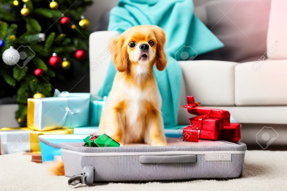 Adorable perro con regalos, pasaporte y boleto sentado en una maleta en casa en nochebuena