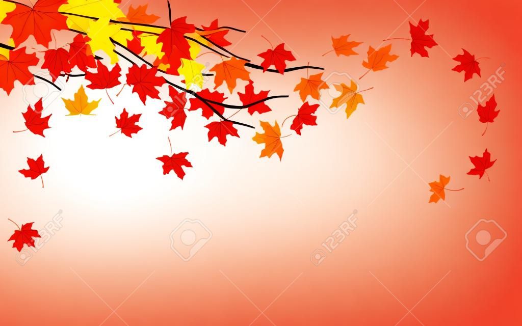Rama con hojas de arce del otoño, ilustración vectorial