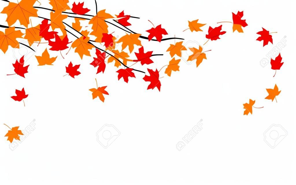 Branche avec des feuilles d'érable d'automne, illustration vectorielle
