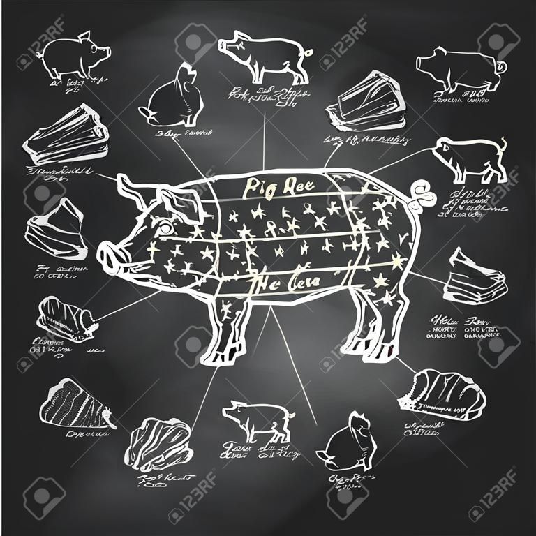 Format porc Vecteur