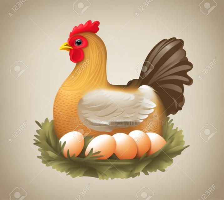 Allevamento di polli con uova. Illustrazione vettoriale di gallina e uova