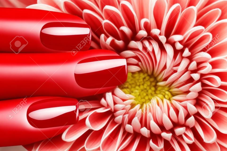 Belle unghie rosse e fiore close-up.