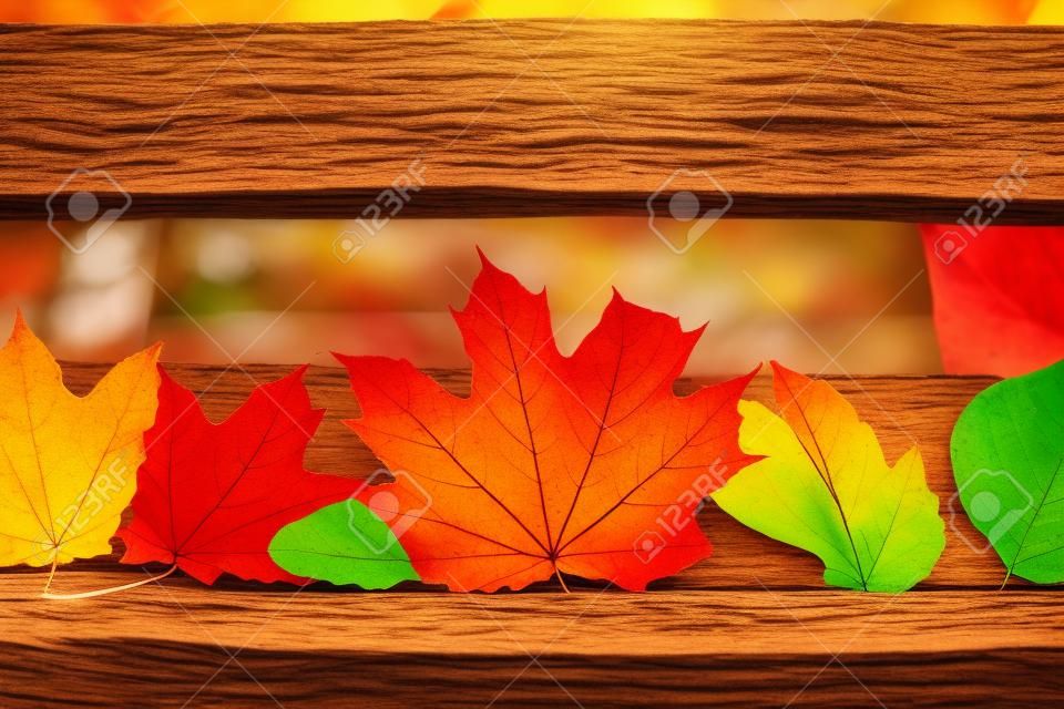 Jesień. wielokolorowe liście klonu na tle drewna