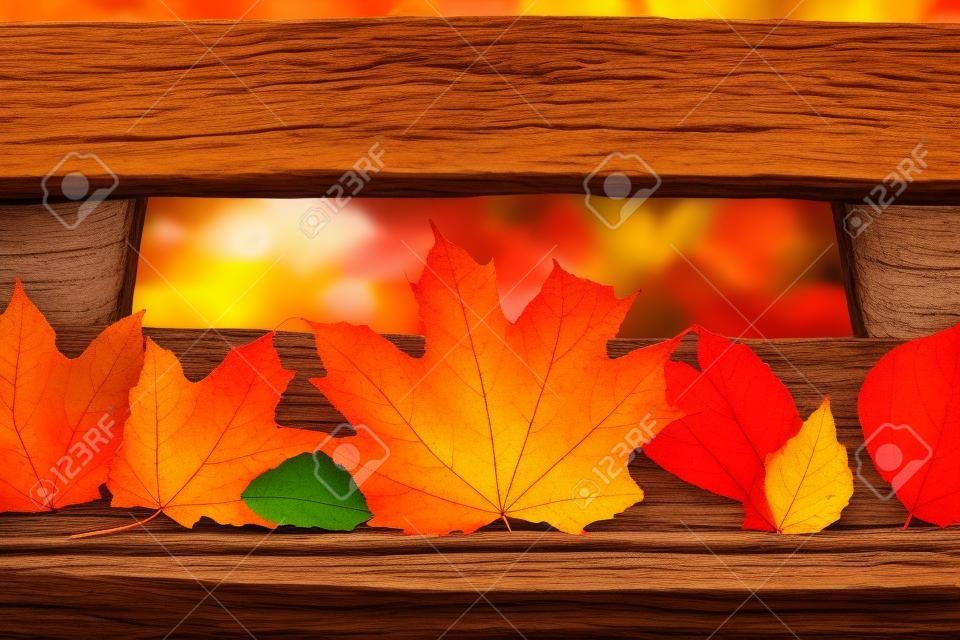 Jesień. wielokolorowe liście klonu na tle drewna